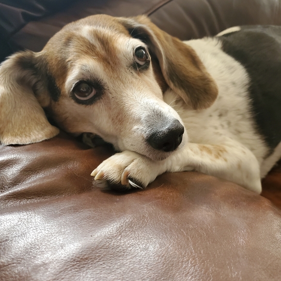 Meet your Posher, Leah - Picture 5 of 6